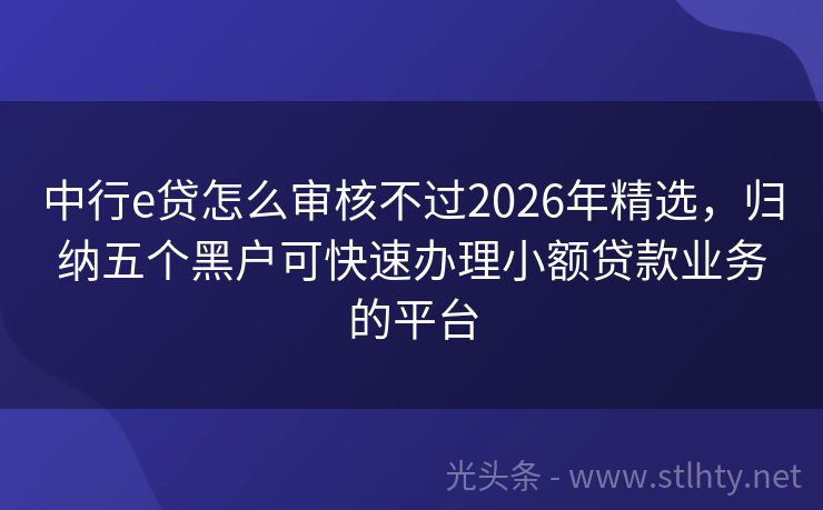 中行e贷怎么审核不过2026年精选，归纳五个黑户可快速办理小额贷款业务的平台