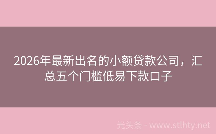 2026年最新出名的小额贷款公司，汇总五个门槛低易下款口子