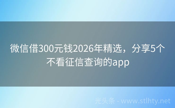微信借300元钱2026年精选，分享5个不看征信查询的app