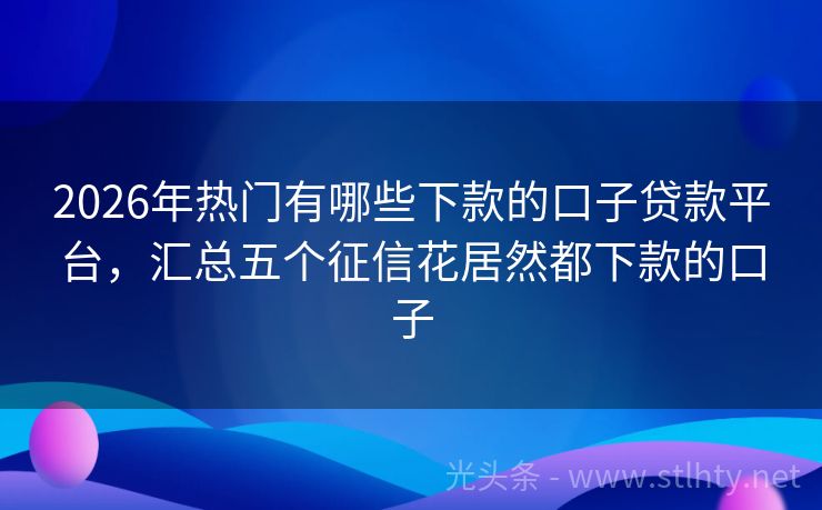 2026年热门有哪些下款的口子贷款平台，汇总五个征信花居然都下款的口子