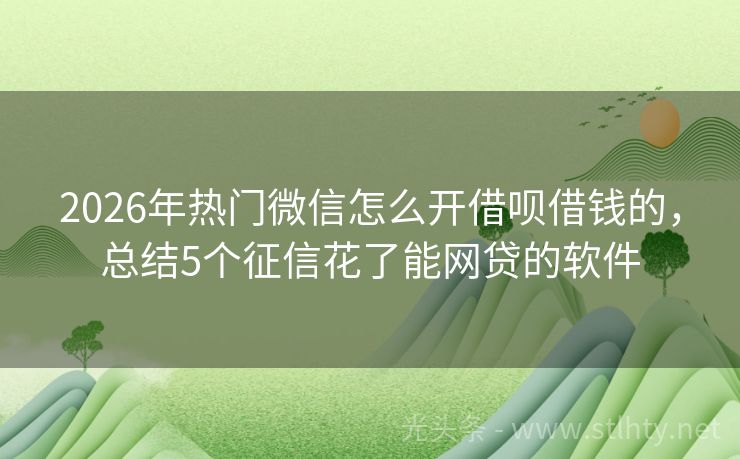 2026年热门微信怎么开借呗借钱的，总结5个征信花了能网贷的软件