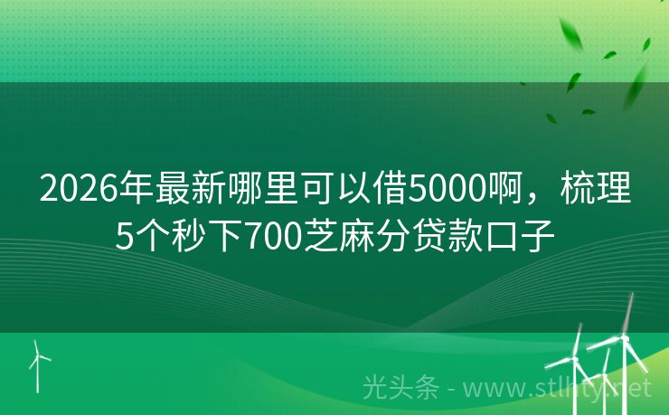 2026年最新哪里可以借5000啊，梳理5个秒下700芝麻分贷款口子