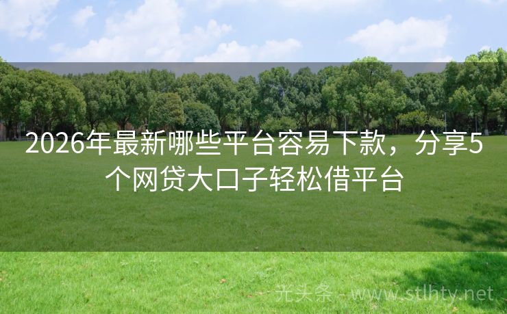 2026年最新哪些平台容易下款，分享5个网贷大口子轻松借平台