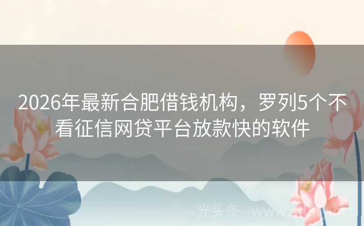2026年最新合肥借钱机构，罗列5个不看征信网贷平台放款快的软件