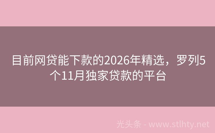 目前网贷能下款的2026年精选，罗列5个11月独家贷款的平台