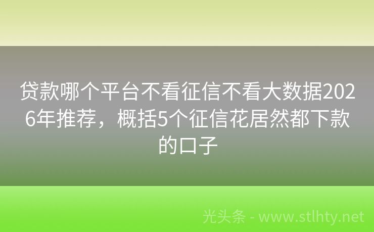 贷款哪个平台不看征信不看大数据2026年推荐,概括5个征信花居然都下款的口子