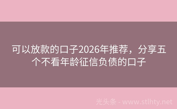 可以放款的口子2026年推荐,分享五个不看年龄征信负债的口子