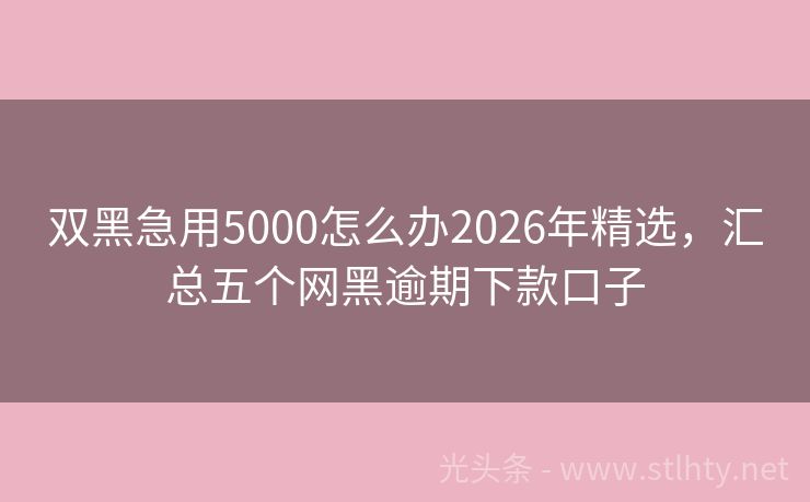 双黑急用5000怎么办2026年精选，汇总五个网黑逾期下款口子