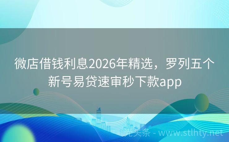 微店借钱利息2026年精选，罗列五个新号易贷速审秒下款app