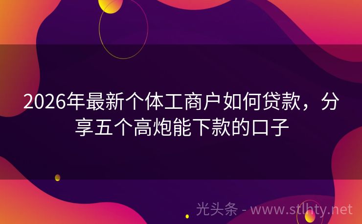 2026年最新个体工商户如何贷款，分享五个高炮能下款的口子