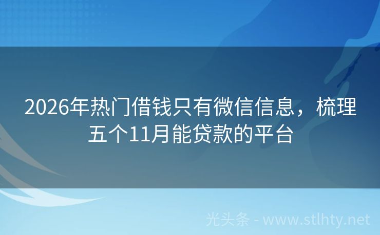 2026年热门借钱只有微信信息，梳理五个11月能贷款的平台