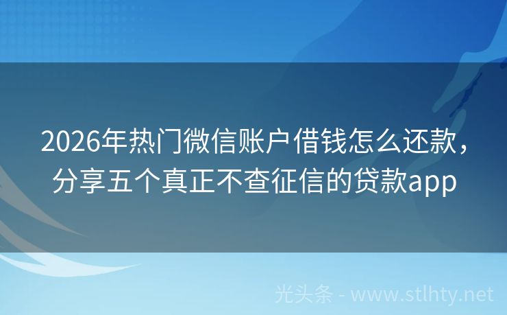 2026年热门微信账户借钱怎么还款，分享五个真正不查征信的贷款app