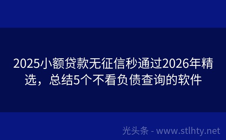 2025小额贷款无征信秒通过2026年精选，总结5个不看负债查询的软件