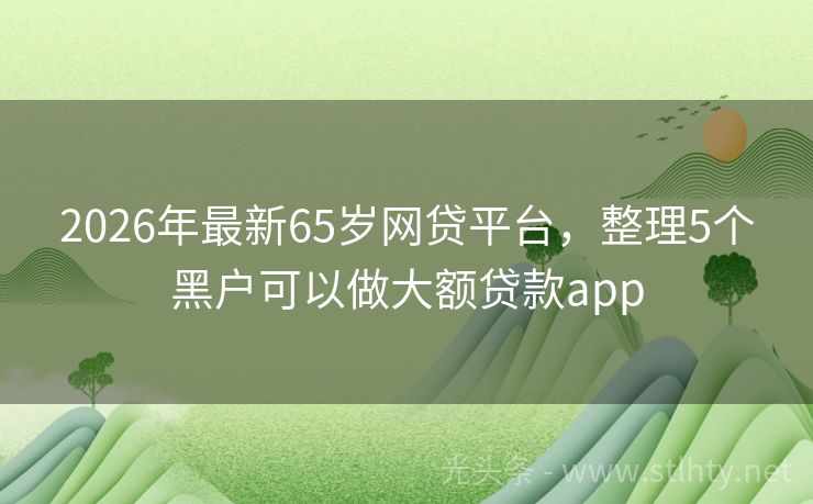 2026年最新65岁网贷平台，整理5个黑户可以做大额贷款app