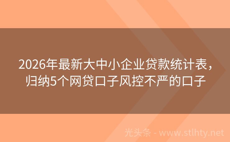 2026年最新大中小企业贷款统计表，归纳5个网贷口子风控不严的口子