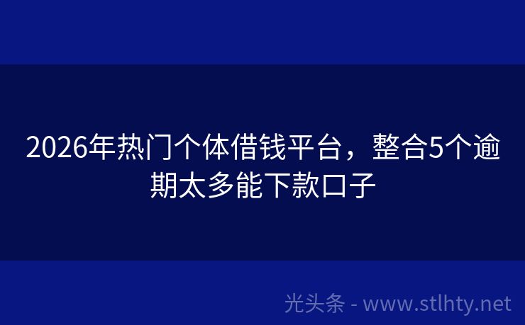 2026年热门个体借钱平台,整合5个逾期太多能下款口子