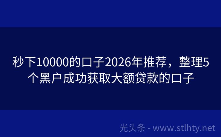 秒下10000的口子2026年推荐，整理5个黑户成功获取大额贷款的口子