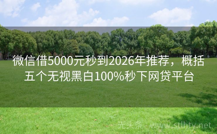 微信借5000元秒到2026年推荐，概括五个无视黑白100%秒下网贷平台