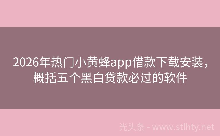 2026年热门小黄蜂app借款下载安装，概括五个黑白贷款必过的软件