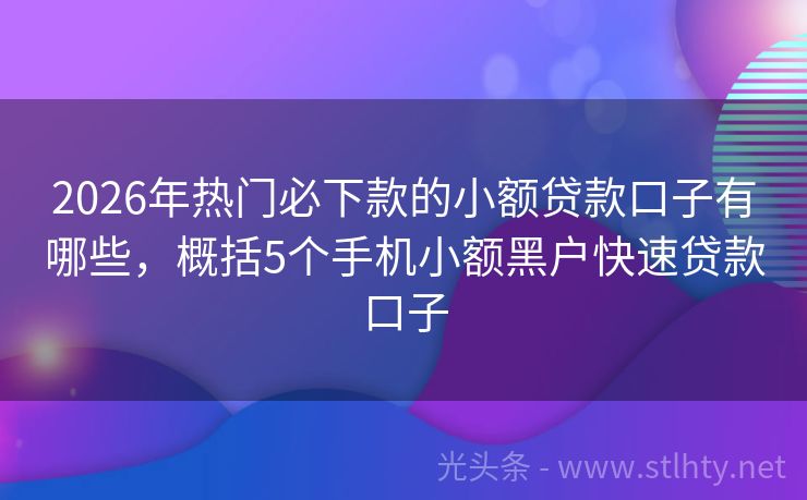 2026年热门必下款的小额贷款口子有哪些，概括5个手机小额黑户快速贷款口子