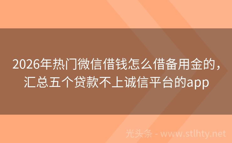 2026年热门微信借钱怎么借备用金的，汇总五个贷款不上诚信平台的app