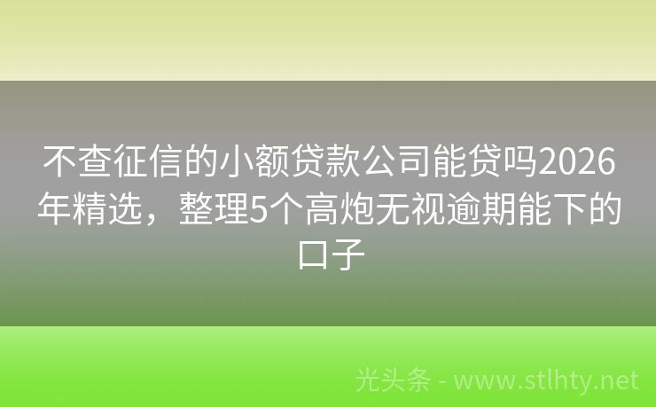 不查征信的小额贷款公司能贷吗2026年精选，整理5个高炮无视逾期能下的口子