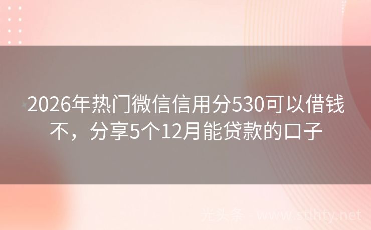 2026年热门微信信用分530可以借钱不，分享5个12月能贷款的口子