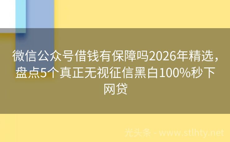 微信公众号借钱有保障吗2026年精选，盘点5个真正无视征信黑白100%秒下网贷