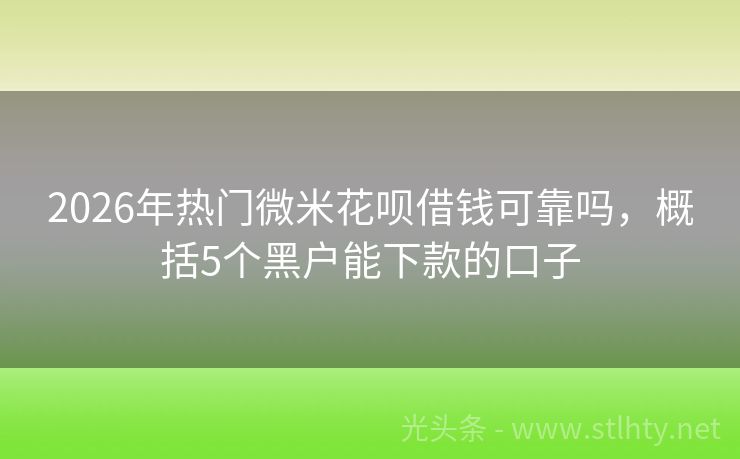 2026年热门微米花呗借钱可靠吗，概括5个黑户能下款的口子