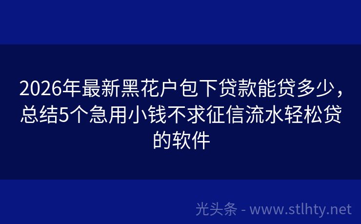 2026年最新黑花户包下贷款能贷多少，总结5个急用小钱不求征信流水轻松贷的软件
