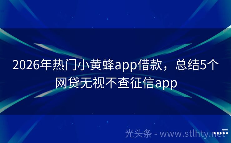 2026年热门小黄蜂app借款，总结5个网贷无视不查征信app