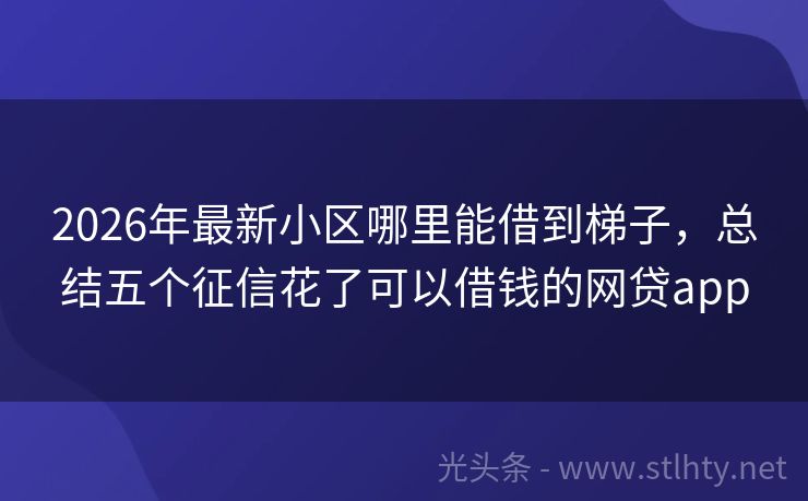 2026年最新小区哪里能借到梯子，总结五个征信花了可以借钱的网贷app
