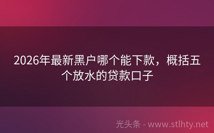 2026年最新黑户哪个能下款，概括五个放水的贷款口子