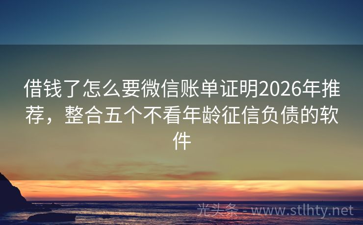 借钱了怎么要微信账单证明2026年推荐，整合五个不看年龄征信负债的软件
