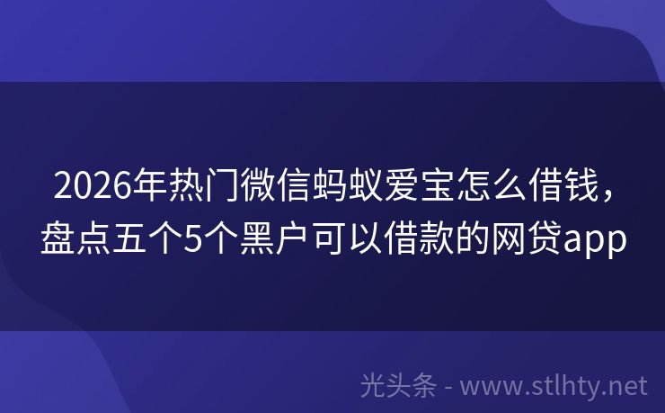 2026年热门微信蚂蚁爱宝怎么借钱，盘点五个5个黑户可以借款的网贷app