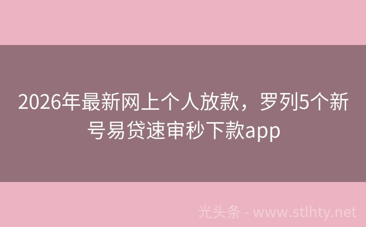 2026年最新网上个人放款，罗列5个新号易贷速审秒下款app