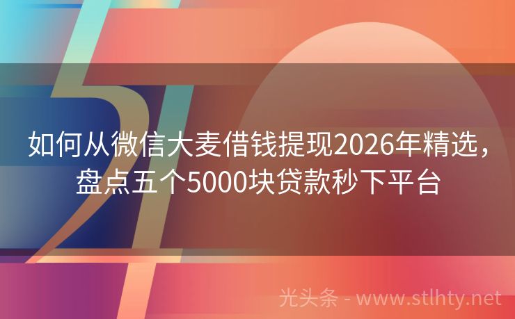 如何从微信大麦借钱提现2026年精选，盘点五个5000块贷款秒下平台