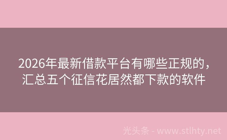 2026年最新借款平台有哪些正规的，汇总五个征信花居然都下款的软件