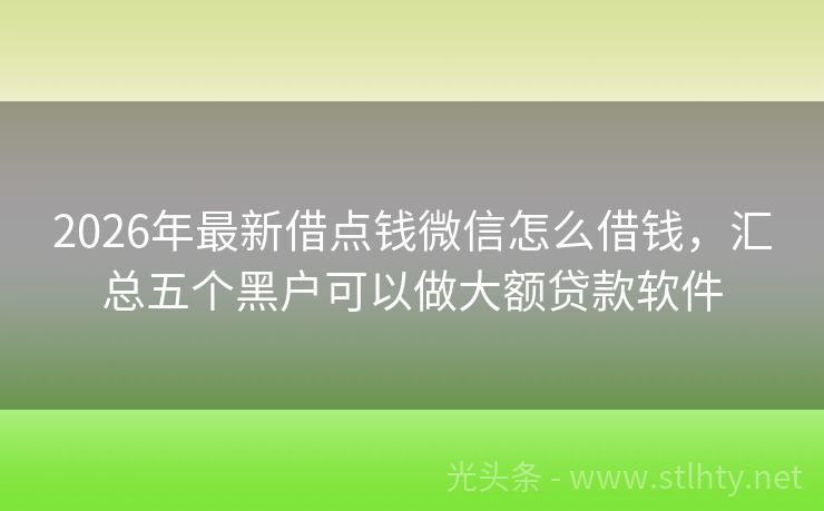 2026年最新借点钱微信怎么借钱，汇总五个黑户可以做大额贷款软件