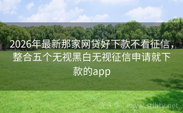 2026年最新那家网贷好下款不看征信，整合五个无视黑白无视征信申请就下款的app