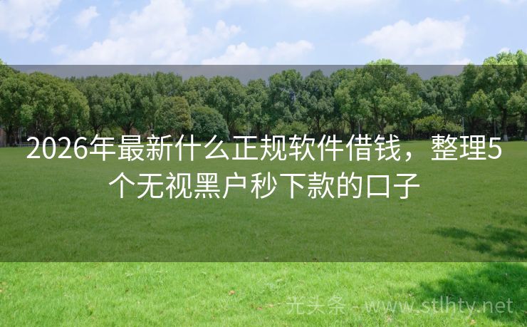 2026年最新什么正规软件借钱，整理5个无视黑户秒下款的口子