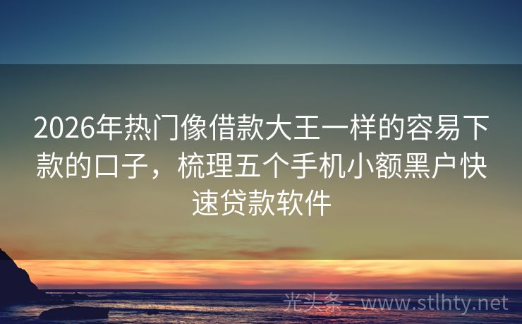 2026年热门像借款大王一样的容易下款的口子，梳理五个手机小额黑户快速贷款软件