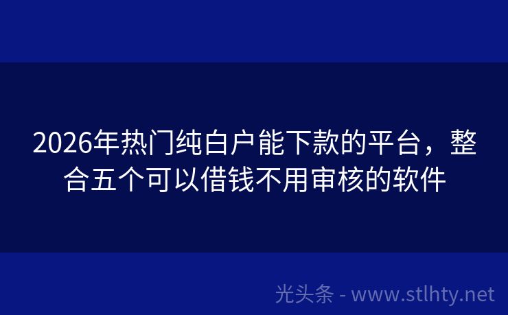 2026年热门纯白户能下款的平台，整合五个可以借钱不用审核的软件
