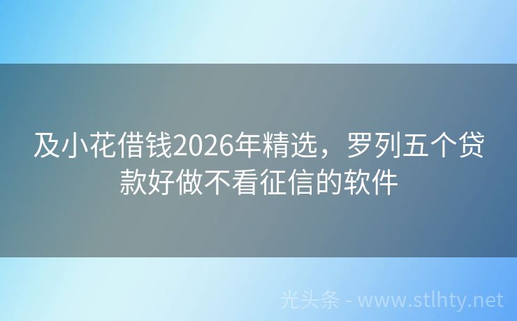及小花借钱2026年精选，罗列五个贷款好做不看征信的软件