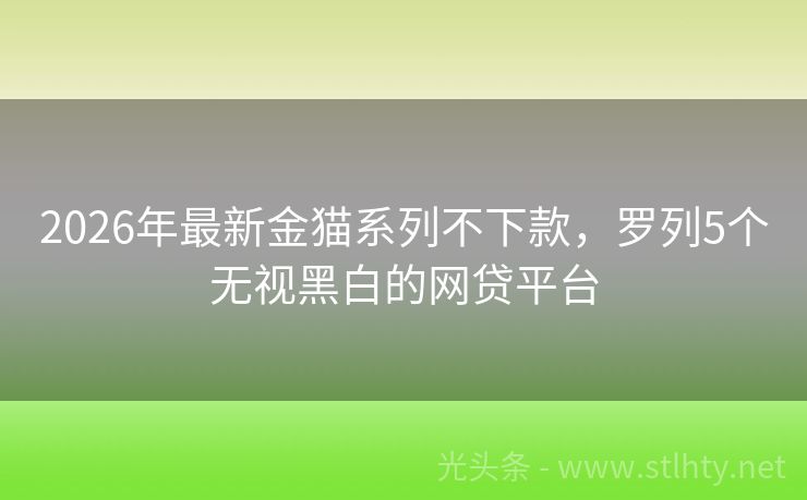 2026年最新金猫系列不下款，罗列5个无视黑白的网贷平台