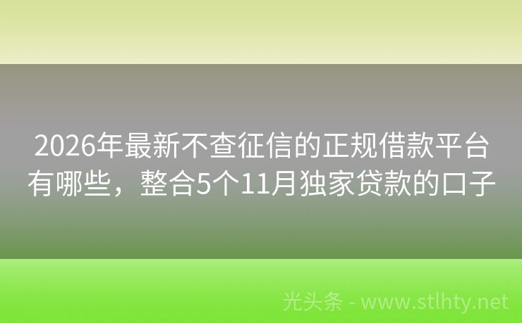 2026年最新不查征信的正规借款平台有哪些，整合5个11月独家贷款的口子