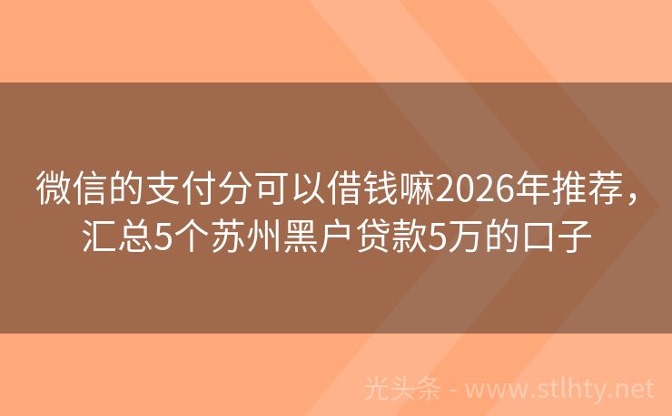 微信的支付分可以借钱嘛2026年推荐,汇总5个苏州黑户贷款5万的口子