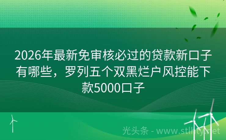 2026年最新免审核必过的贷款新口子有哪些，罗列五个双黑烂户风控能下款5000口子