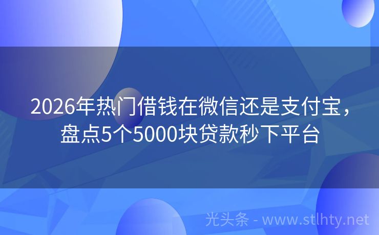 2026年热门借钱在微信还是支付宝，盘点5个5000块贷款秒下平台