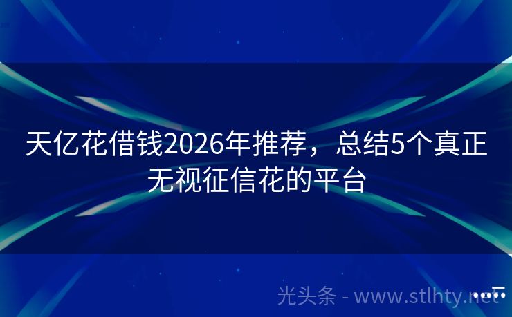 天亿花借钱2026年推荐,总结5个真正无视征信花的平台